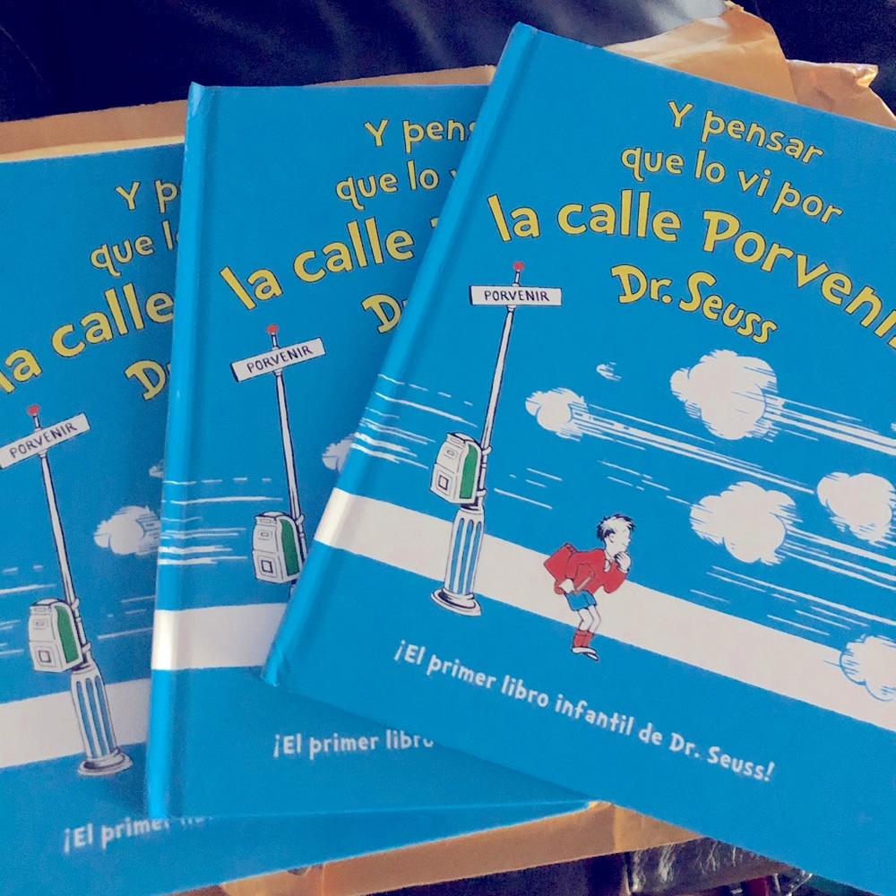 Y PENSAR QUE LO VI POR LA CALLE PORVENIR (Spanish)